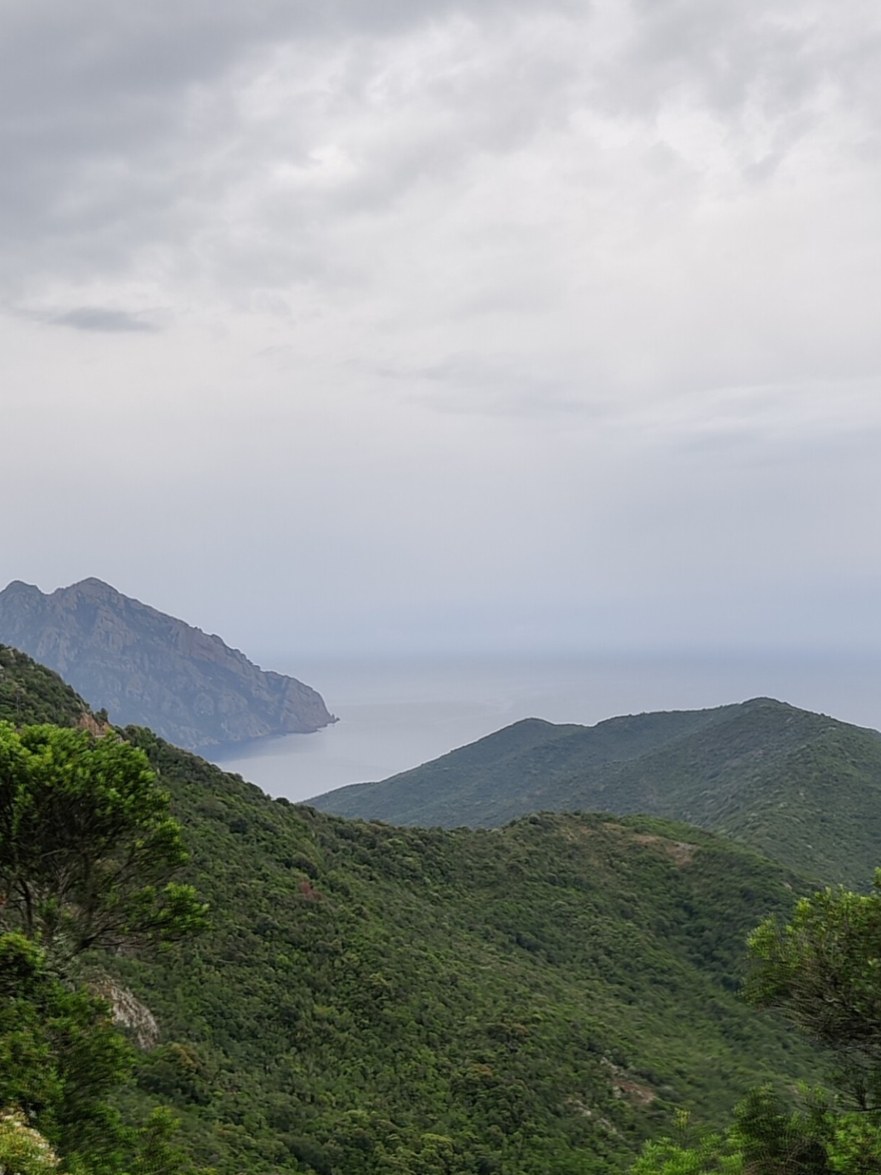 Corse côte Est de l'Ile Rousse à Porto